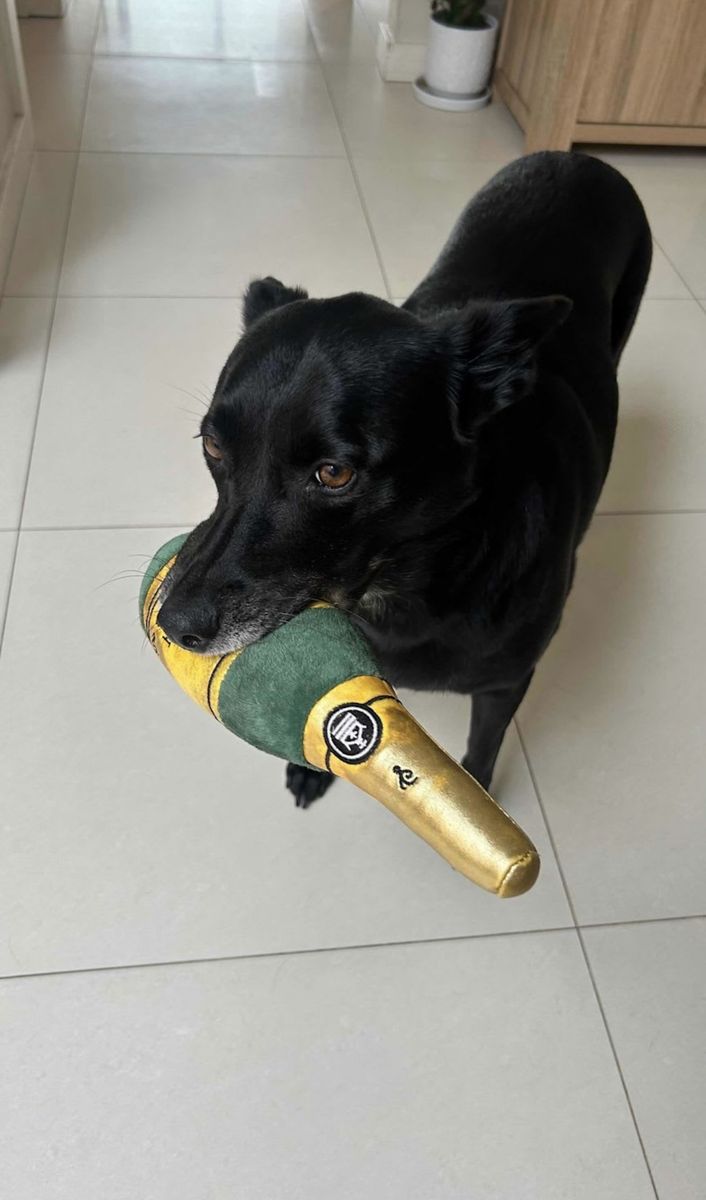 Bailey with her champagne bottle toy