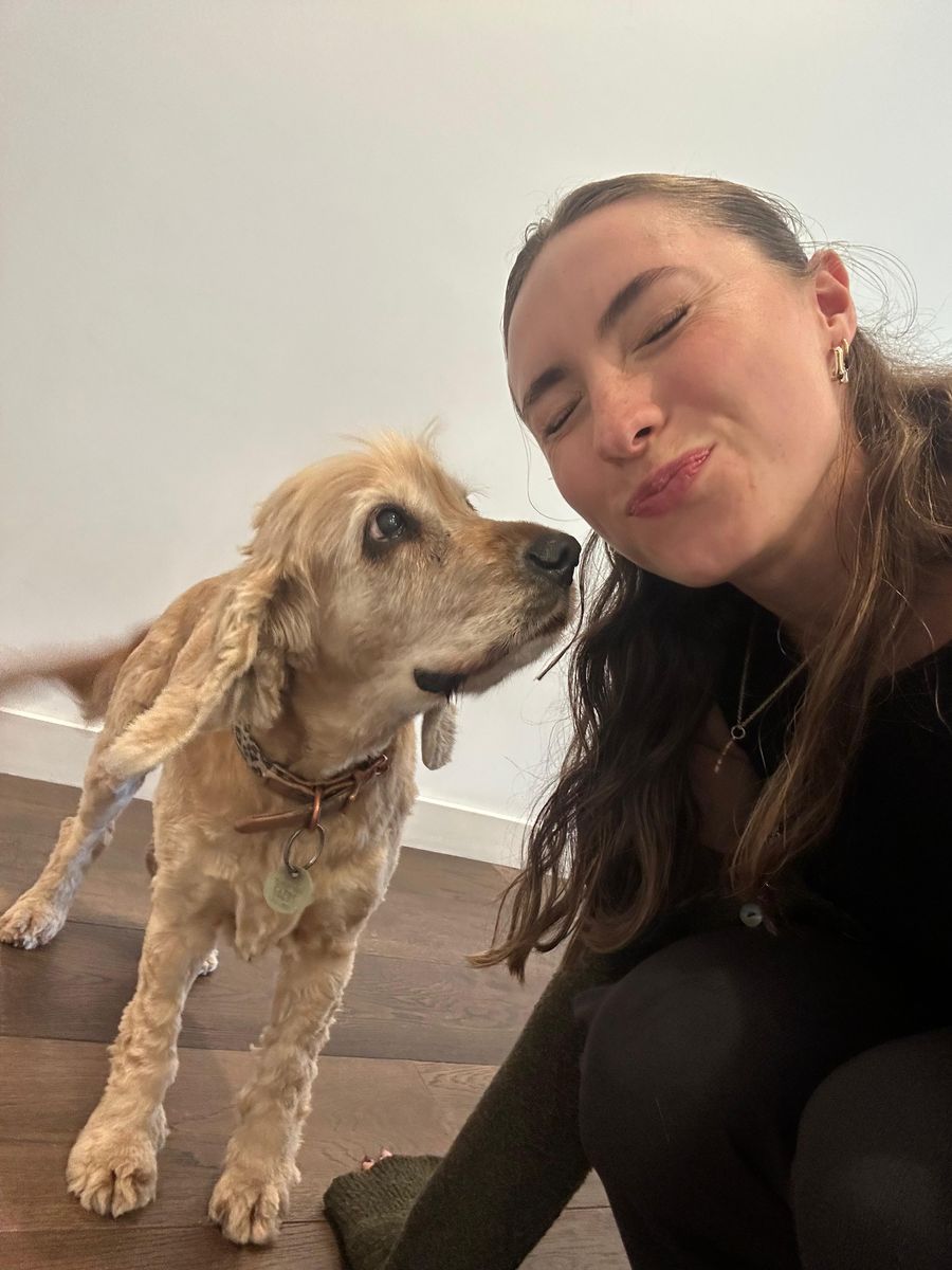Matilda the cocker spaniel giving Niamh a kiss