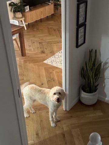 Molly in the doorway